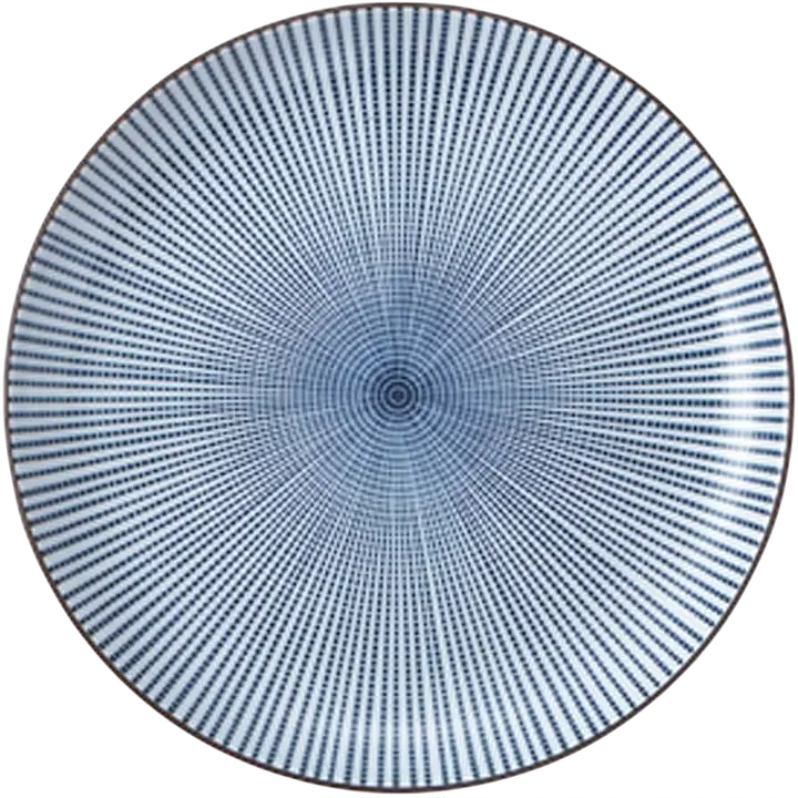 Japanese Sendan Tokusa Ceramic Dinner Plate – Blue Radial Stripe Design - Master
