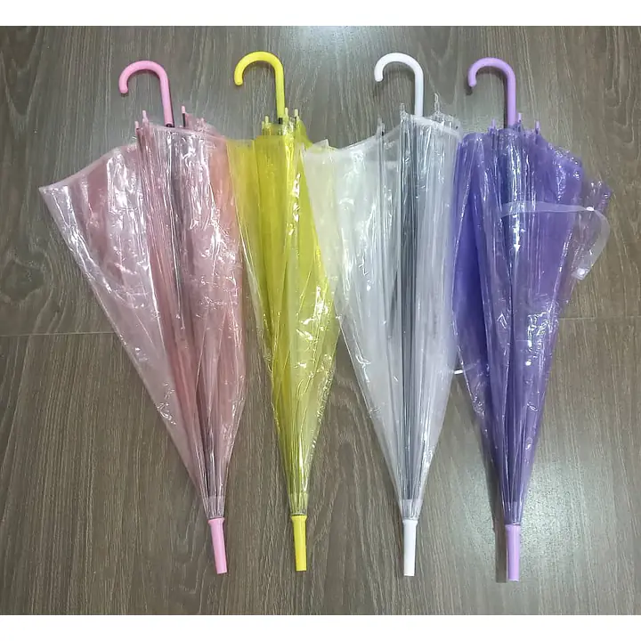 Transparent Umbrella - Master