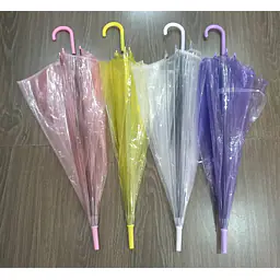 Transparent Umbrella - Master