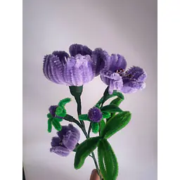Purple bunch pipe flower - Master