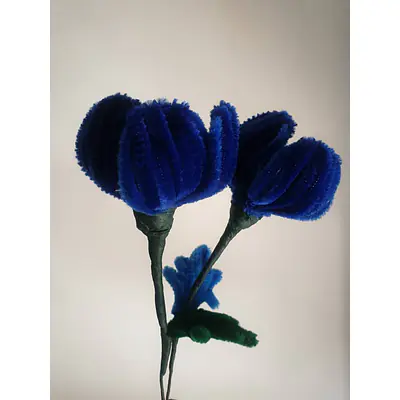Pipe Flower Blue Tulip Bunch primary image