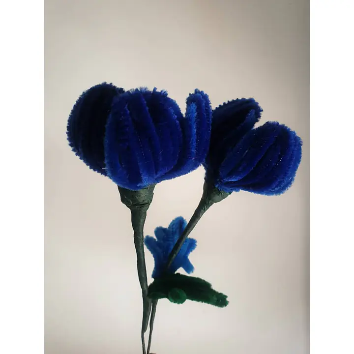 Pipe Flower Blue Tulip Bunch - Master