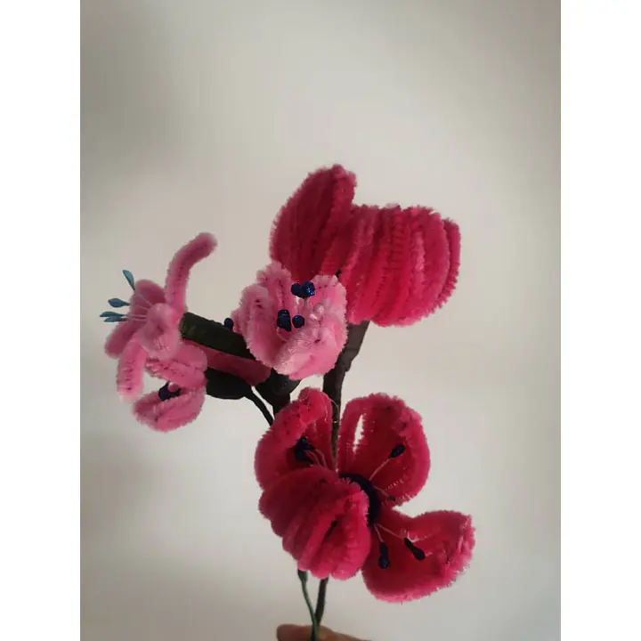Pipe Flower Pink Tulip Bunch - Master
