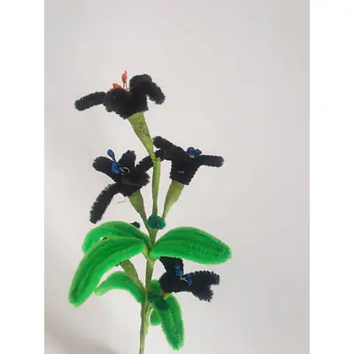 Pipe Flower Black primary image