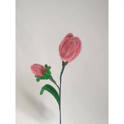 Pipe Flower Light Pink Tulip primary image