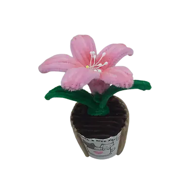 The Pink Grace Lily Flower primary image