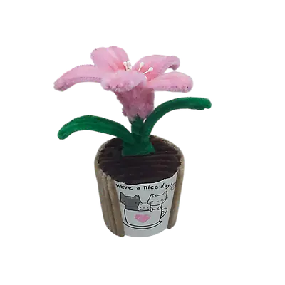 The Pink Grace Lily Flower secondary image