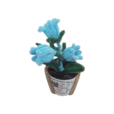 Sky Bell Mini Pot Flower secondary image
