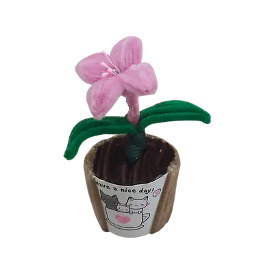 Sweetheart Lily Pot Flower primary image