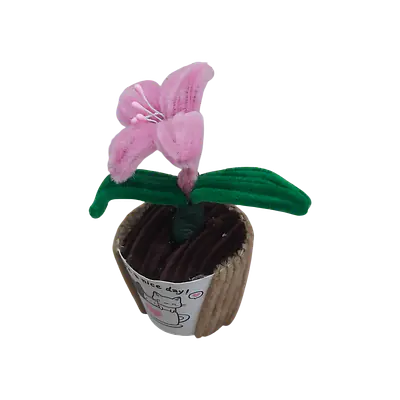 Sweetheart Lily Pot Flower secondary image