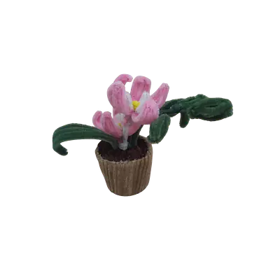 Sweet Pink Spring Pot Flower secondary image