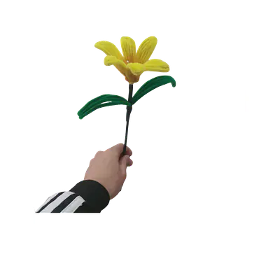 Classic Yellow Daylily Flower primary image