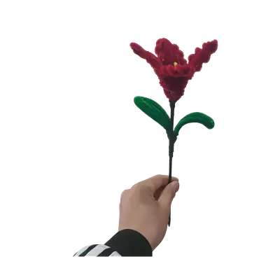 Midnight Rose Lily Flower primary image
