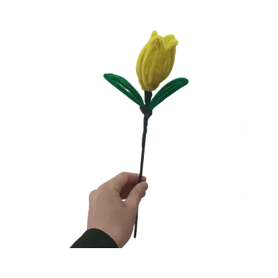 Hello Spring Yellow Tulip Flower primary image