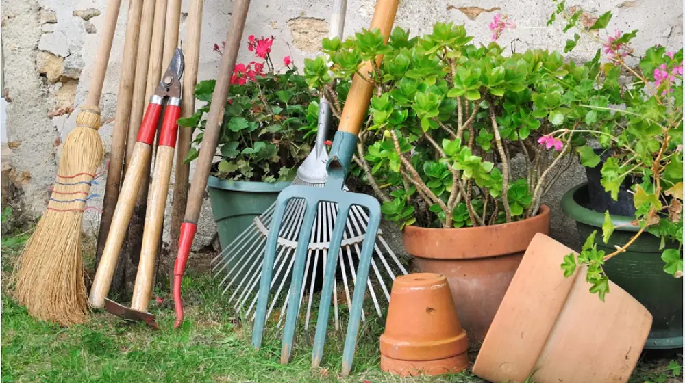 Outdoor & Garden Supplies