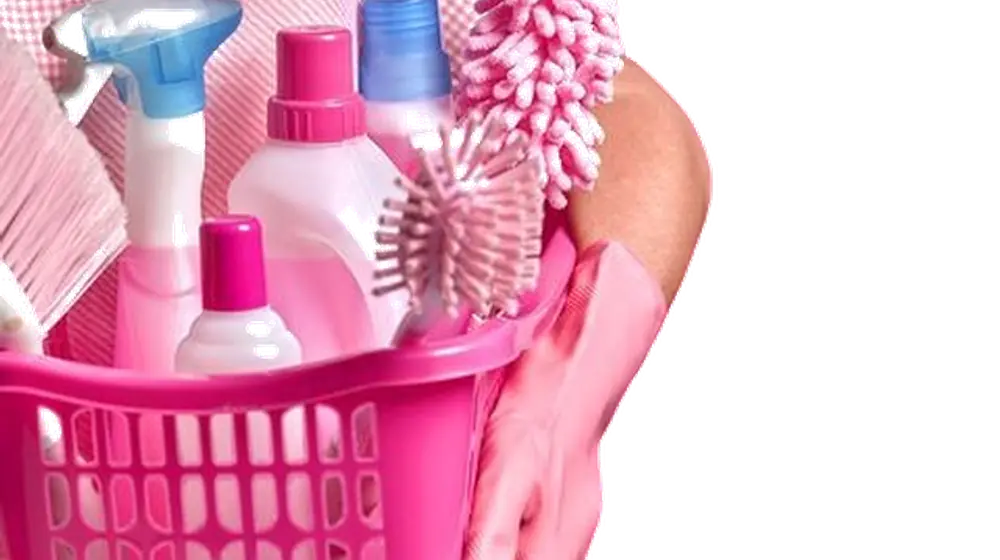 Cleaning & Laundry Supplies