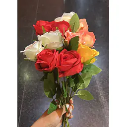 Rose - Master