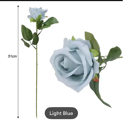 Rose secondary image