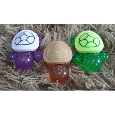 Turtle Toy primary image