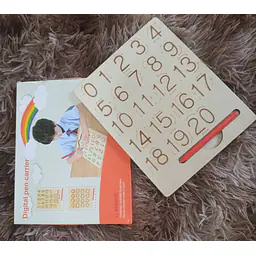 Wooden Puzzle Toy - Master