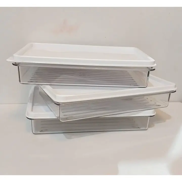 Container Box w/ Lid Air Tight Clear White - Master