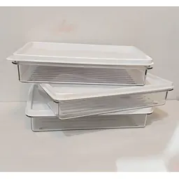 Container Box w/ Lid Air Tight Clear White - Master