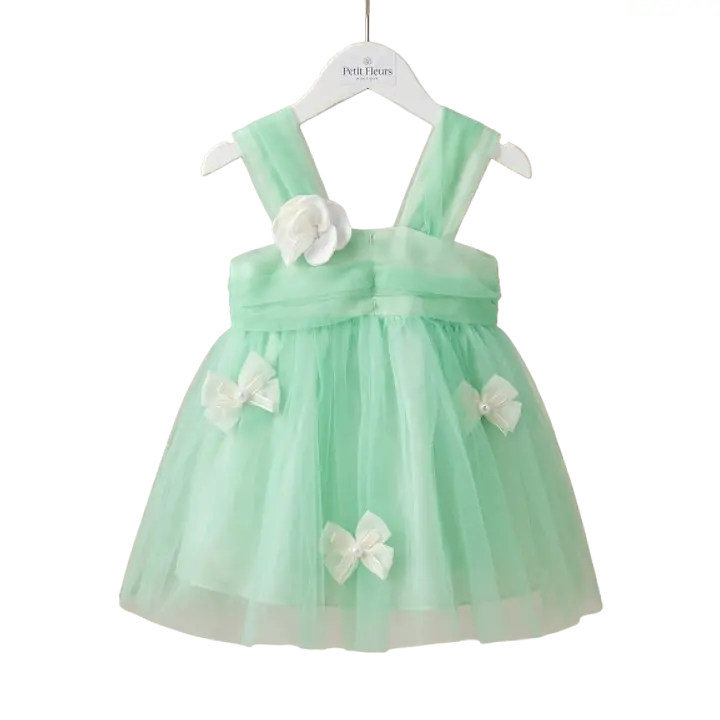 Baby Girl Tulle Dress - Master