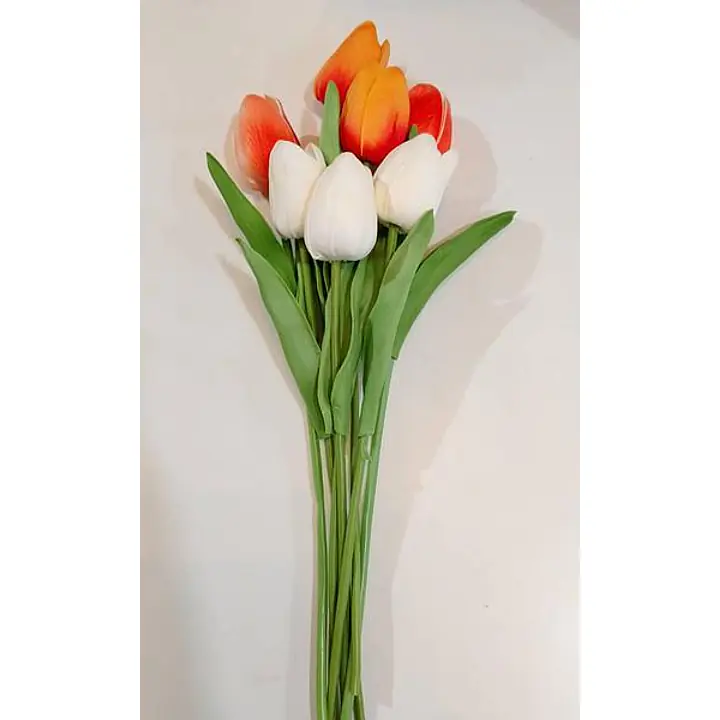 Single Tulip Flower - Master