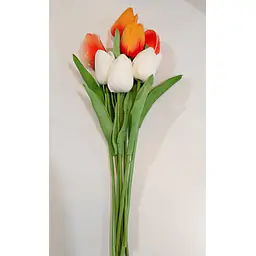 Single Tulip Flower - Master