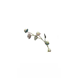 Pearl Flower Bouquet - Master