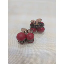 Claw Clip - Master
