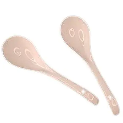 Bone Ceramic White Spoon primary image