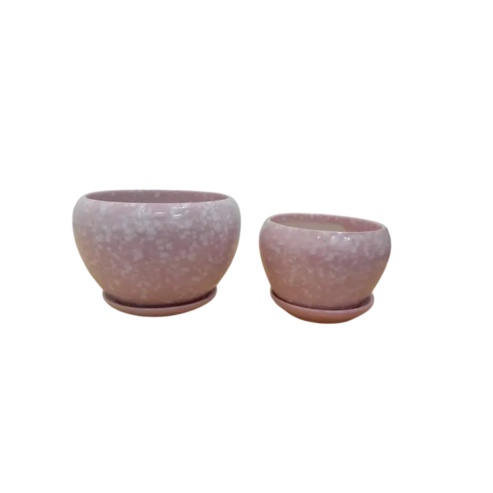 Ceramic Plant Pot set of 2 - Master